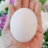 สั่งไข่​ บ่าว-แหย้
