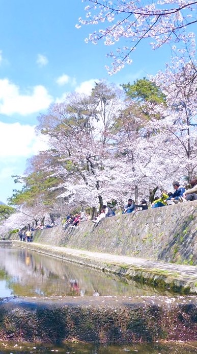 なんJ春のBAN祭り🌸😷🍡🌱