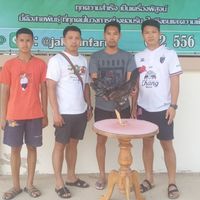 ซุ้ม เพชรทองเจือ