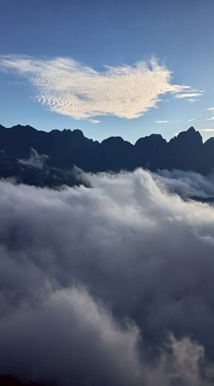 My Trading Room(2026)