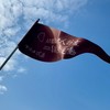 嘉義美學運動之陳愷璜校長選市長
