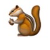 松鼠聊天群❤️🐿️