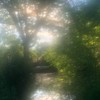 君の思考が全部僕で染まるように  ＊  ＜ 全也 ＞