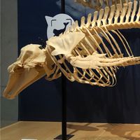 智生老師來解惑-110學年南一中高二生物解題