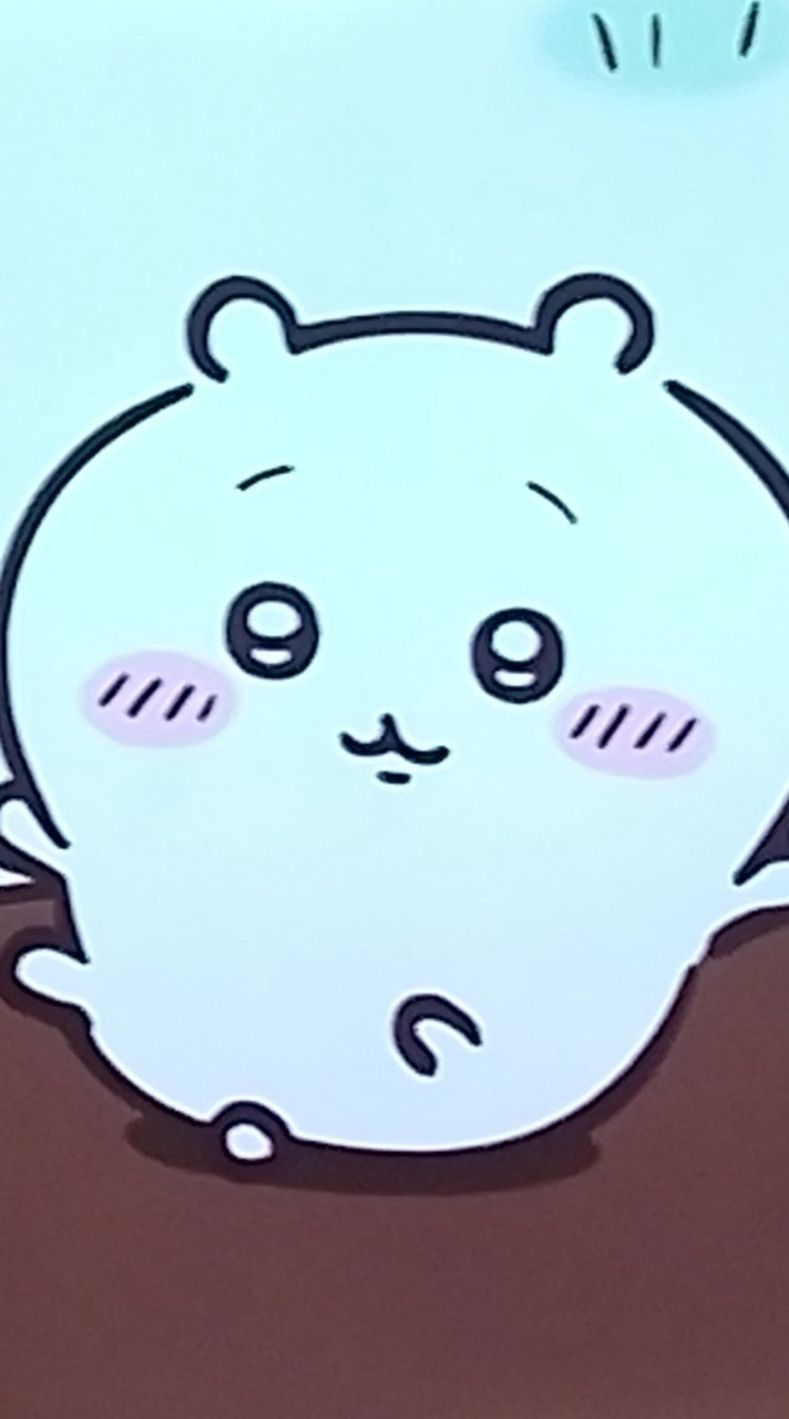 🤍💙💛『ちいかわ』好き！集まれ〜！🩷💜🧡