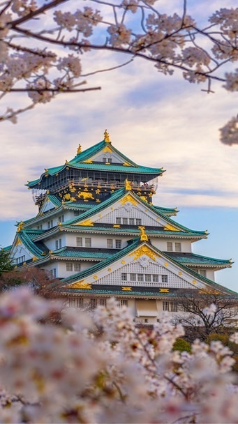 阿牛a留學記🇯🇵