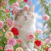 創価桜🌸🌸♫部屋♪:*集まれꉂꉂ😆！！
