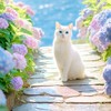 創価桜🌸🌸♫部屋♪:*集まれꉂꉂ😆！！