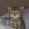 𐄙͙ˑ̶͙.ขายแอค อายจี/ติ๊กต่อก.〘ˑ̶͙ˑ̳
