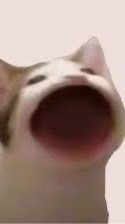 714班群