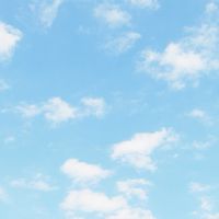 HSP/HSEママ達のほっとできる癒しの場所🍀