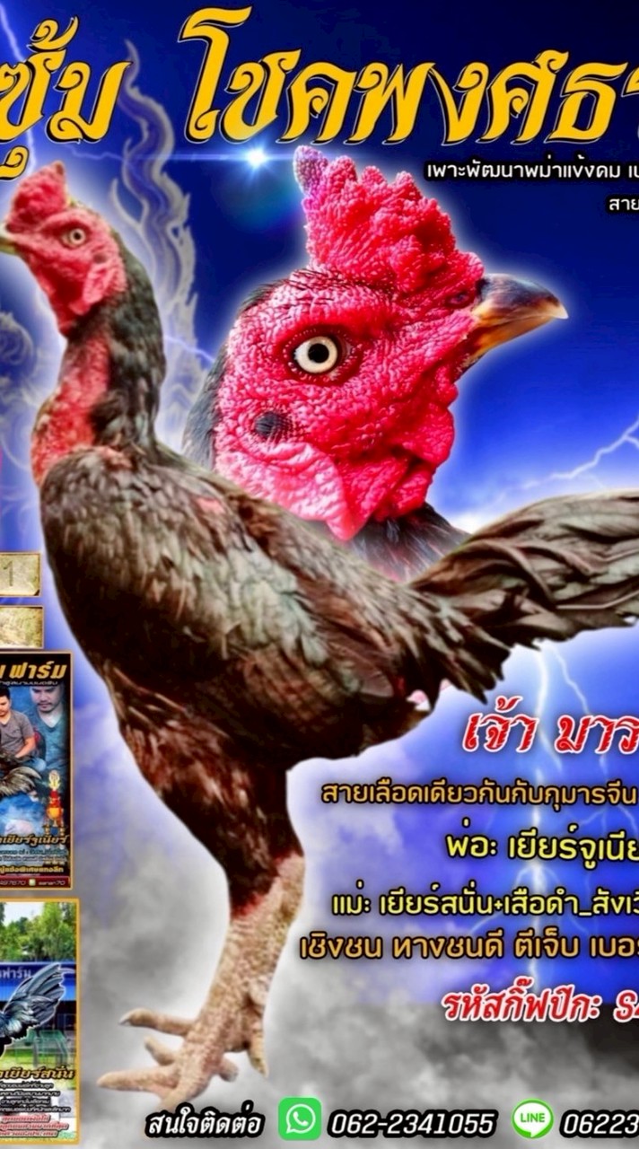 ซุ้ม.โชค พงศธร