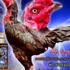 ซุ้ม.โชค พงศธร