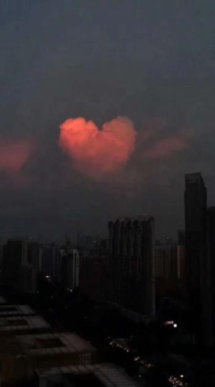 各家粉丝🤍💗