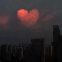 各家粉丝🤍💗