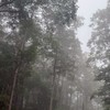 Noopy華麗轉身群