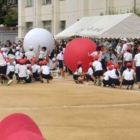令和8年度「丸山小学校運動会」お手伝い保護者の会
