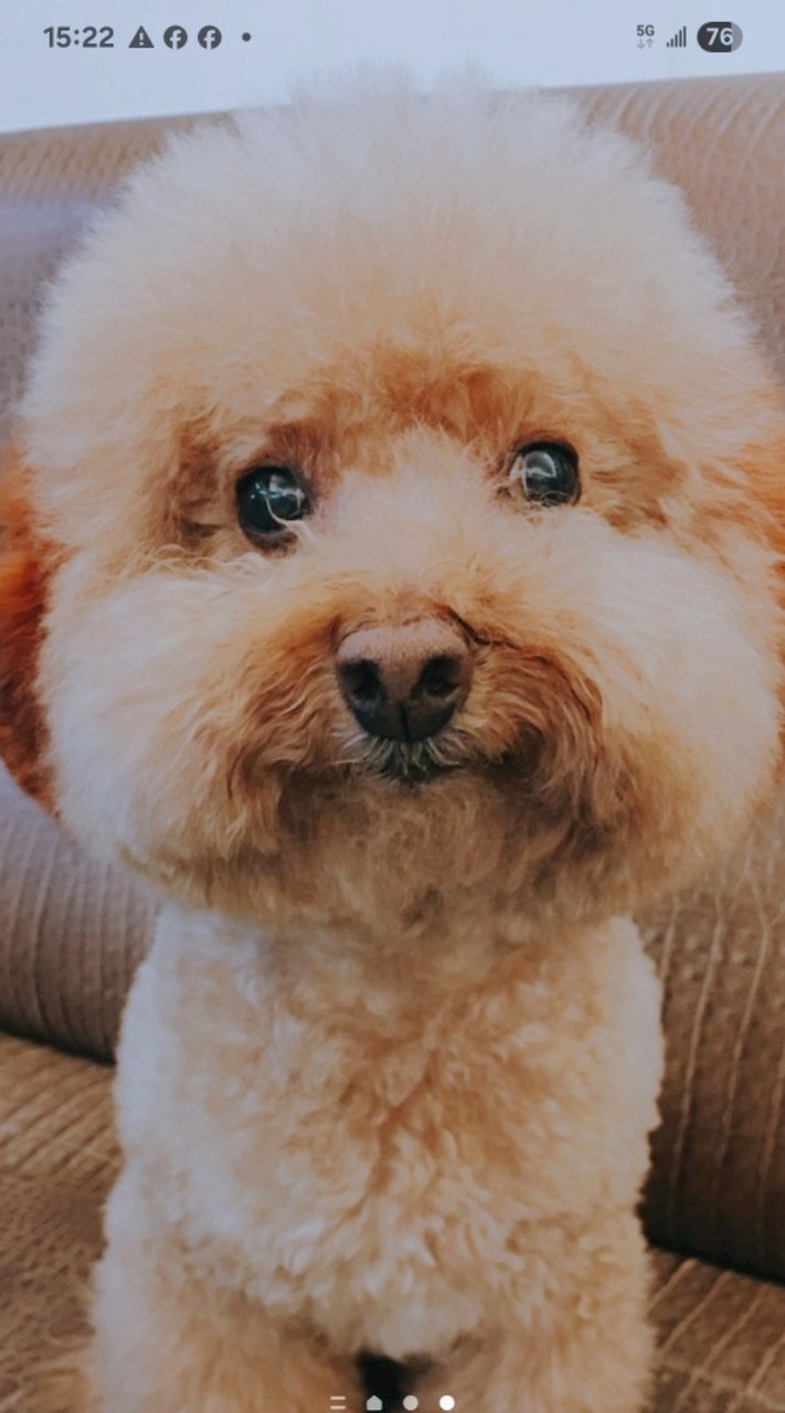 子約無限吧（主群）