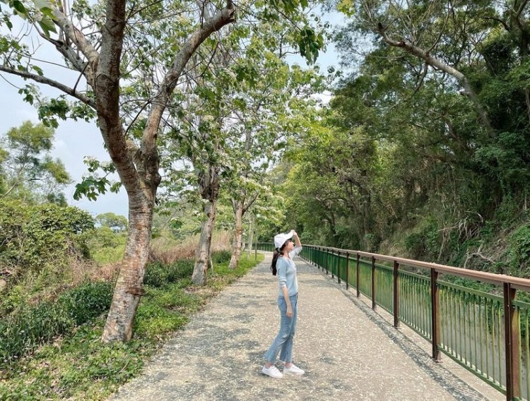 台中景點自行車道