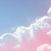 棉花糖編號1640
