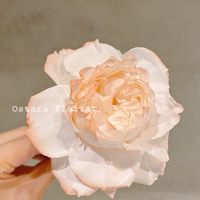 奧斯塔拉花藝 ｜花藝資材、雜貨