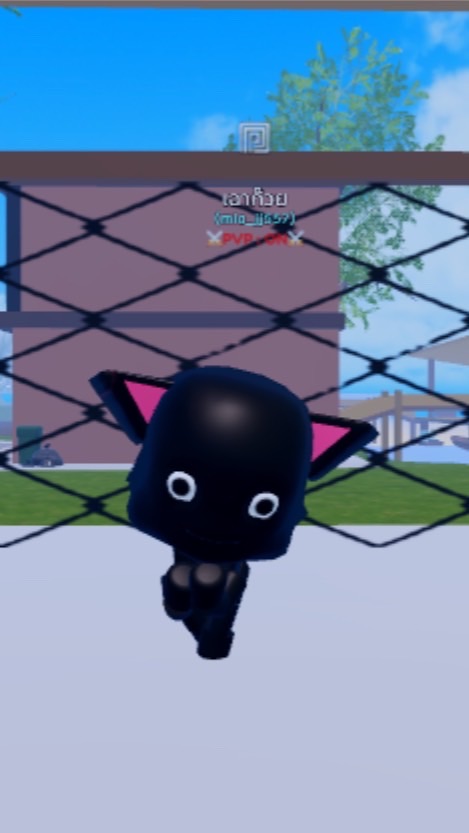 ୧ ׅ𖥔 ۫  คุยเล่นน 🐈‍⬛ ⋄ 𓍯