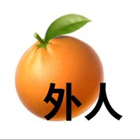 修仙🍊外人
