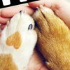 幕張ベイ飼い主ぼうさいクラブ