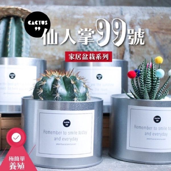 Carmo旗下品牌—99號仙人掌新品推出大推薦❤送禮療育情人甜蜜告白居家裝飾辦公室&餐廳擺飾質感訂製鐵罐x送禮選擇NO.1 心意絕對超級簡易養殖。室內辦公室輕鬆養! 給自己一次機會突破黑手指的詛咒XD