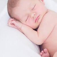 睡眠障害/ナルコレプシー ,特発性過眠症