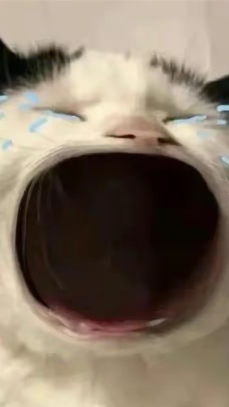澎湖屁孩