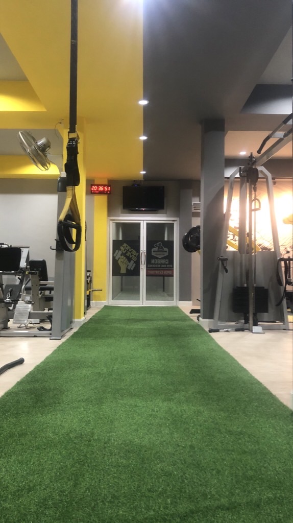 Carbon gym members