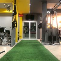 Carbon gym members