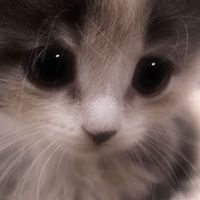 雑談ライト暇人きて‼️