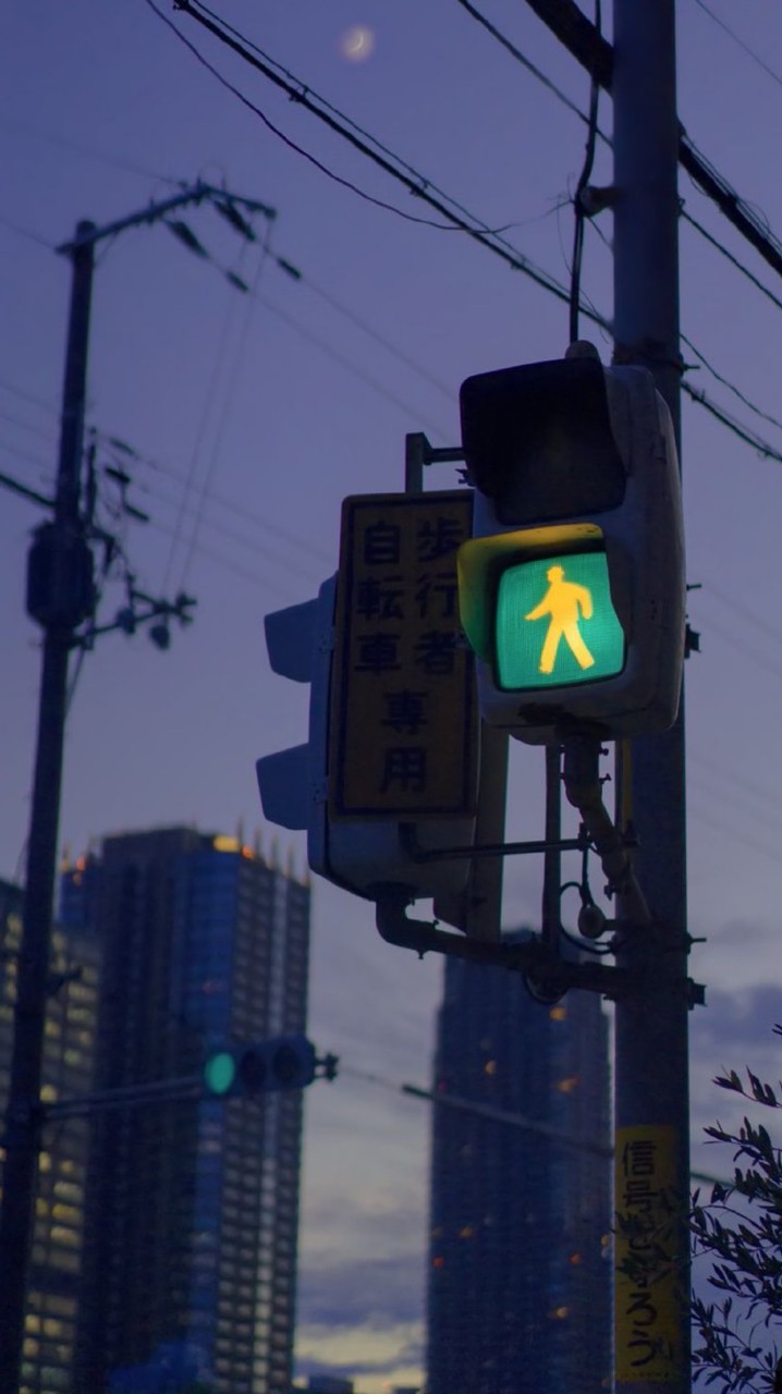 無条件に愛されたことのない君を愛す