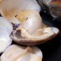 全台美食吃透透 / 網美店 排隊店 必吃店 朝聖店 預約店 小吃 點心 早午餐 宵夜 甜點吃到飽