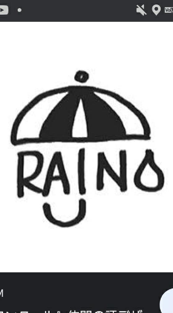 Umbrella for R.A.I.N.S