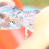 ジムニーカメラ部📷