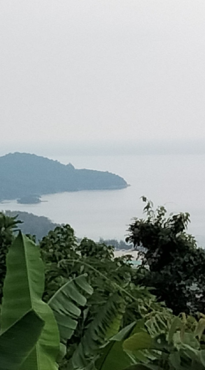 แจ้งข่าวไม้ขาวม.4