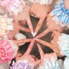 ☁️きゅーてすとるーむ☁️