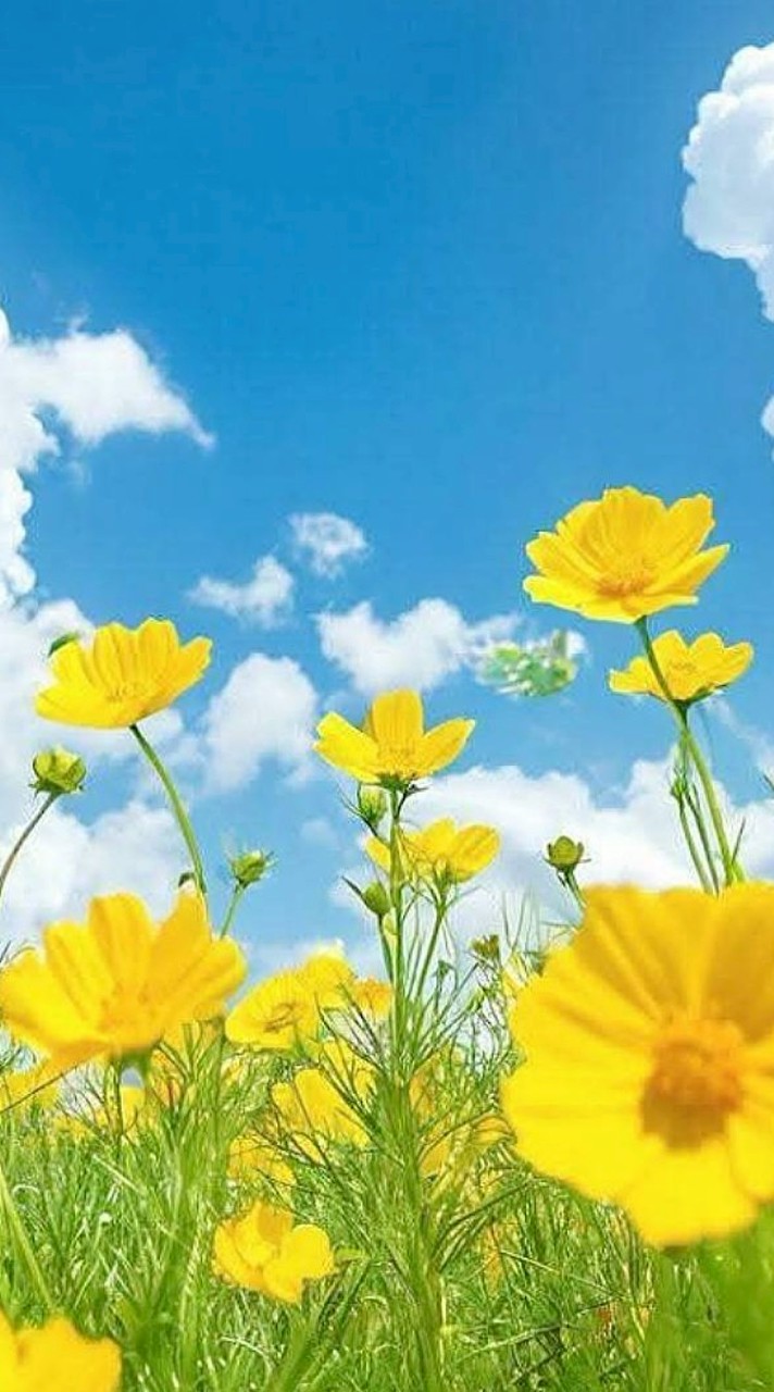 女性限定💫楽しい時間を✨人事部