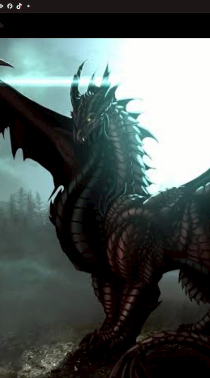โรงเรียน black dragon
