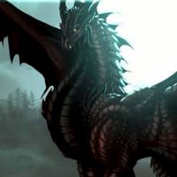 โรงเรียน black dragon