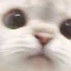 俺アラ&ファンパレ&ちょい雑だん