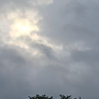 匯聚真心-真真團隊資訊群