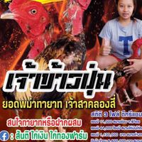 ซุ้มไก่เงินไก่ทองฟาร์ม