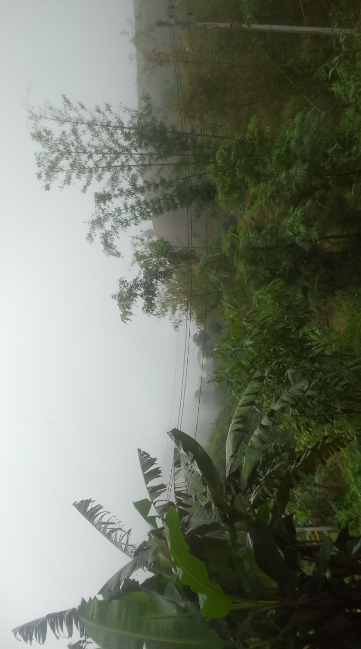 ถ่ายธรรมชาติ