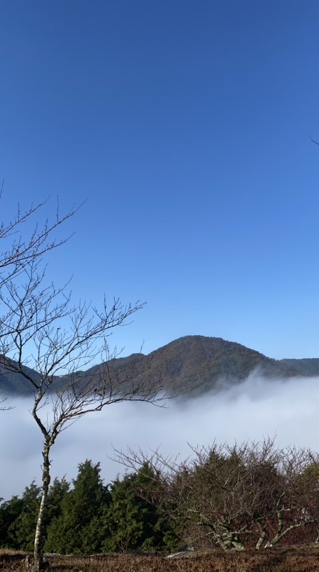 青年張世孟國標社群