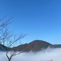 青年張世孟國標社群