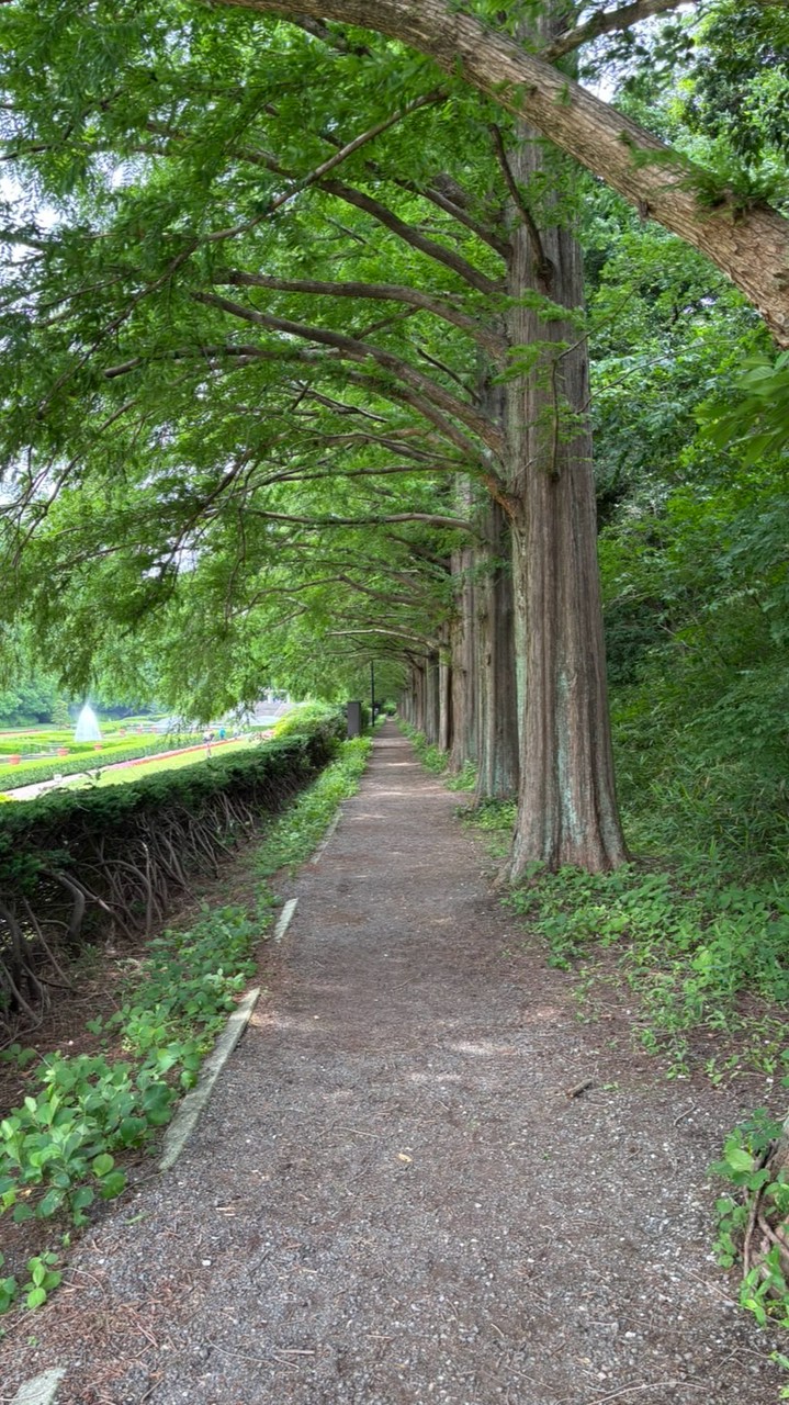目眩が辛い人、集合✴️